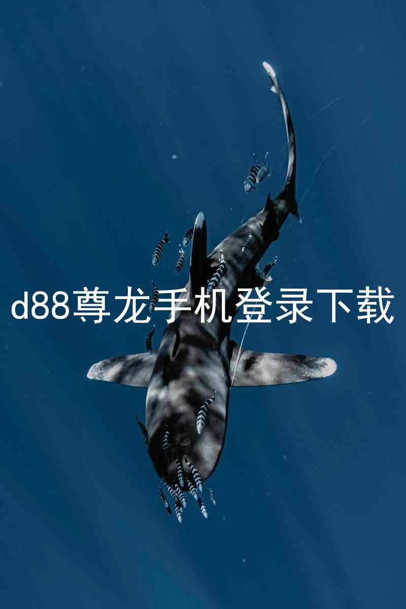 d88尊龙手机登录下载